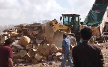 فيما تم اليوم إتلاف ( 8 ) أطنان من المواد غير الصالحة للاستهلاك..  صحة البيئة بالمنصورة يواصل ضبط كميات من المواد الغذائية منتهية الصلاحية