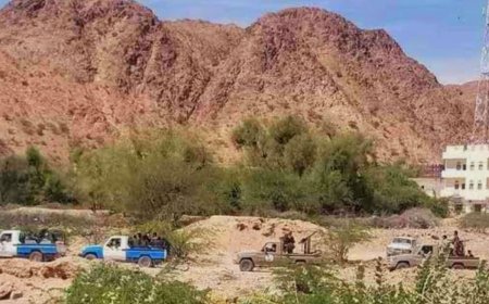 حملة أمنية مشتركة بشبوة تُنهي حصارًا إجراميًا وتُنقذ أسرة في مديرية الصعيد دون خسائر بشرية