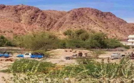 قوات أمن شبوة تنهي حصارًا مسلحًا وتحرر أسرة من نساء وأطفال دون خسائر