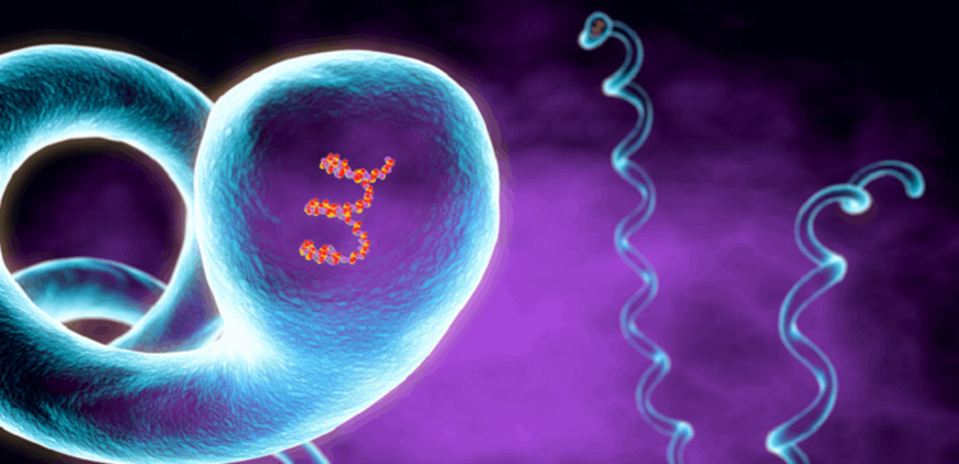 مرض خطير ينتشر في الولايات المتحدة الأمريكية يهدد سكانها .