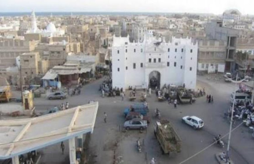 مدينة الشحر تستغيث.. «الذباب» يغزو الأحياء ومخاوف من تفشي الأوبئة