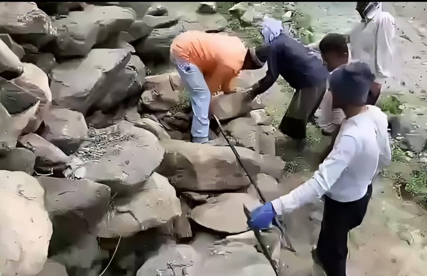 أهالي رخمة بيافع رصُد ينفذون مُبادرة مجتمعية لتوسعة وتأهيل طريق الزغرور