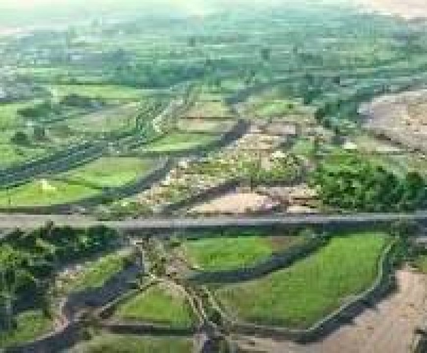 بساتين الحسيني في لحج… من واحة خضراء إلى ذكرى موجعة