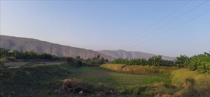 وفاة طفلين اختناقًا داخل سيارة في حبيل برق بباتيس أبين