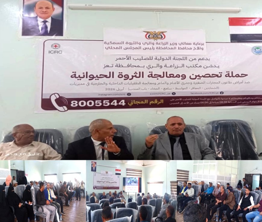 وكيل أول «تعز» يدشن حملة تحصين لحماية الثروة الحيوانية من الأوبئة وتعزيز الأمن الغذائي