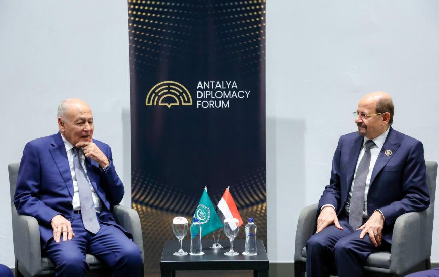 رئيس الوزراء وزير الخارجية يناقش مع امين عام الجامعة العربية تطورات الأوضاع